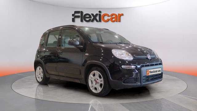 immagine non disponibile